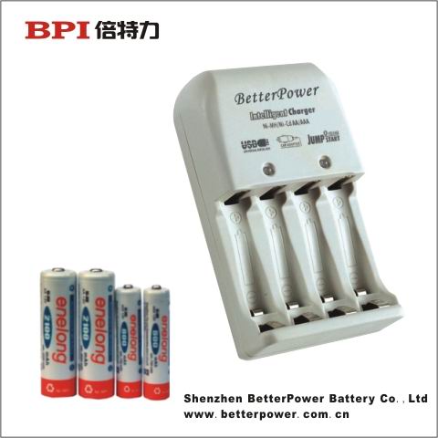 low self discharge battery