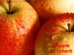 Apple extract (Apple Polyphenols & Phloretin & Phloridzin)