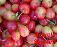 Acerola Extract