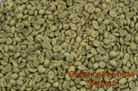 Green coffee bean Extract /Chlorogenic acid