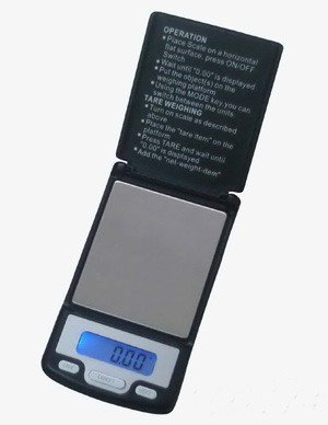 Pocket scale