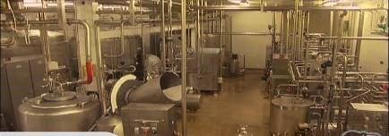 Whole Milk Processing Factory For Sale