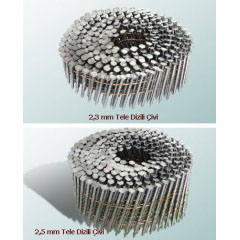 Stainless Steel Coil Nail