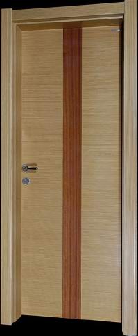 Fashion Flush Door 