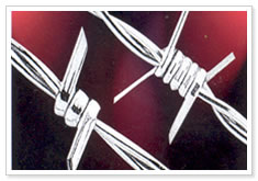 Barbed wire (Razor barbed wire)