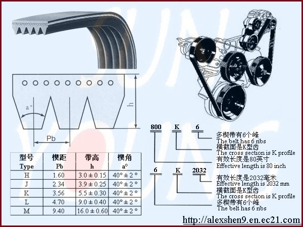 Poly V Belts (Ribbed Belts)