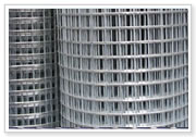 Welded wire mesh 