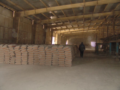 portland cement 