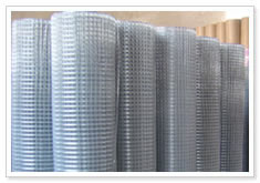 Welded wire mesh 