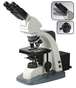 Research Biological Microscope