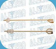 Foley Catheter