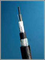 direct buried fiber optic cable