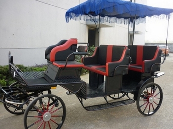 Pleasure horse carriage with 9 people