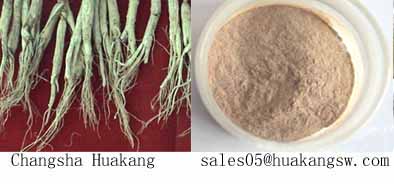 Ginseng P.E