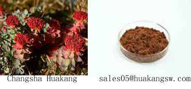 Rhodiola rosea extract