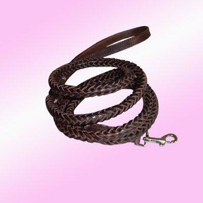  Pet Collars and Leads