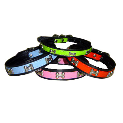 Pet Collars and Leads