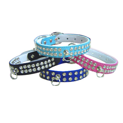 Pet Collars and Leads