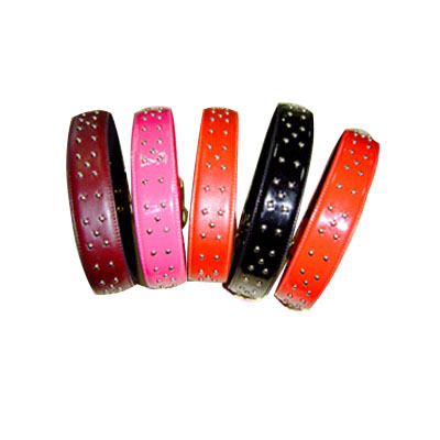 Pet Collars and Leads