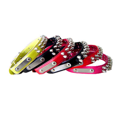 Pet Collars and Leads