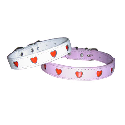 Pet Collars and Leads