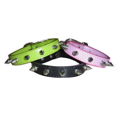 Pet Collars and Leads