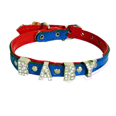 Pet Collars and Leads