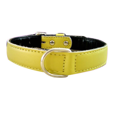 Pet Collars and Leads