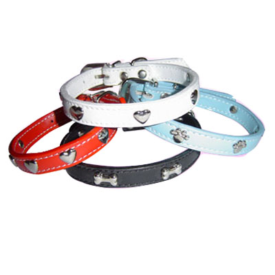 Pet Collars and Leads