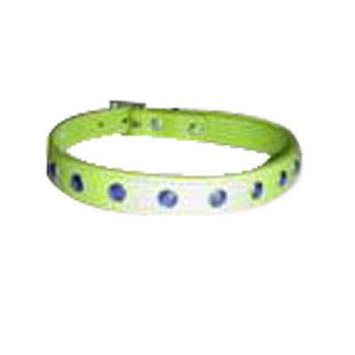 Pet Collars and Leads