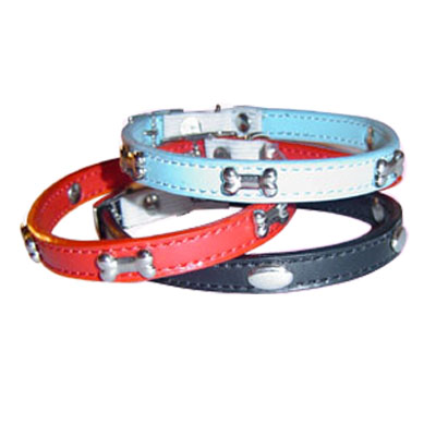 Pet Collars and Leads