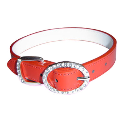 Pet Collars and Leads