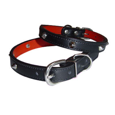 Pet Collars and Leads