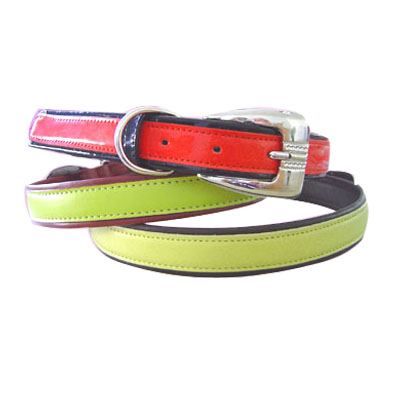 Pet Collars and Leads