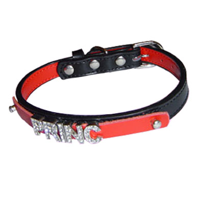 Pet Collars and Leads