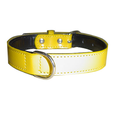 Pet Collars and leads