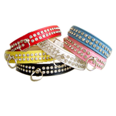 Pet Collars and Leads