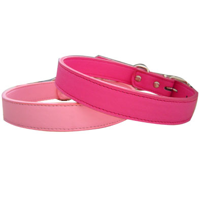 Pet Collars and Leads