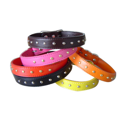 Pet Collars and Leads