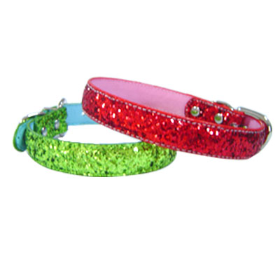 Pet Collars and Leads