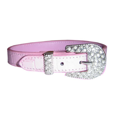 Pet Collars and Leads