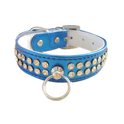 Pet Collars and Leads