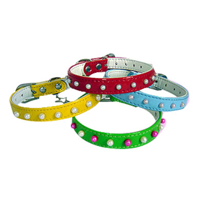 Pet Collars and Leads