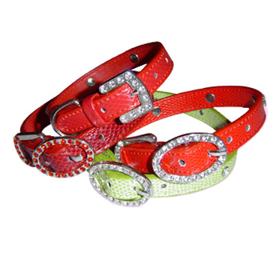 Pet Collars and Leads