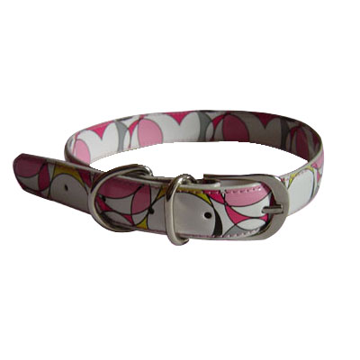 Pet Collars and Leads