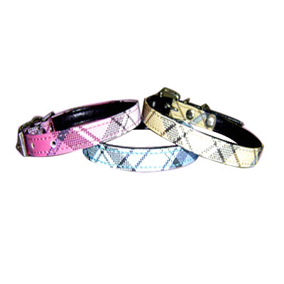 Pet Collars and Leads