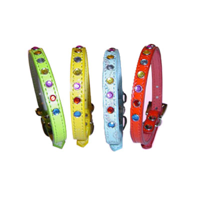 Pet Collars and Leads