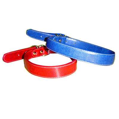 Pet Collars and Leads