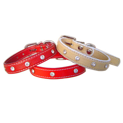 Pet Collars and Leads