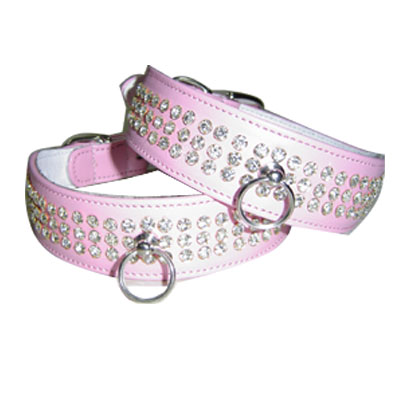 Pet Collars and Leads